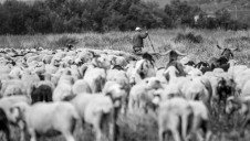 Image: Kering/ Fundacion Global Nature
